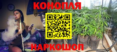 ешки Славгород