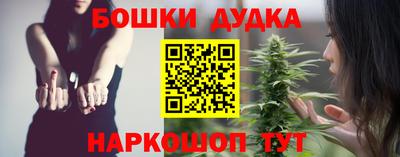 МДПВ Сланцы