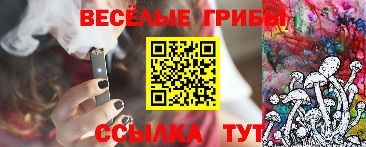 Прохладный  Галлюциногенные грибы Magic Shrooms  где можно купить наркотик  Вход с VPN  Псилоцибиновые грибы Psilocybe 