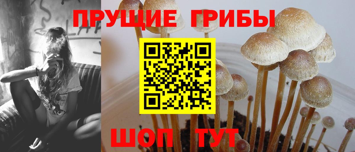 Галлюциногенные грибы мухоморы Прохладный